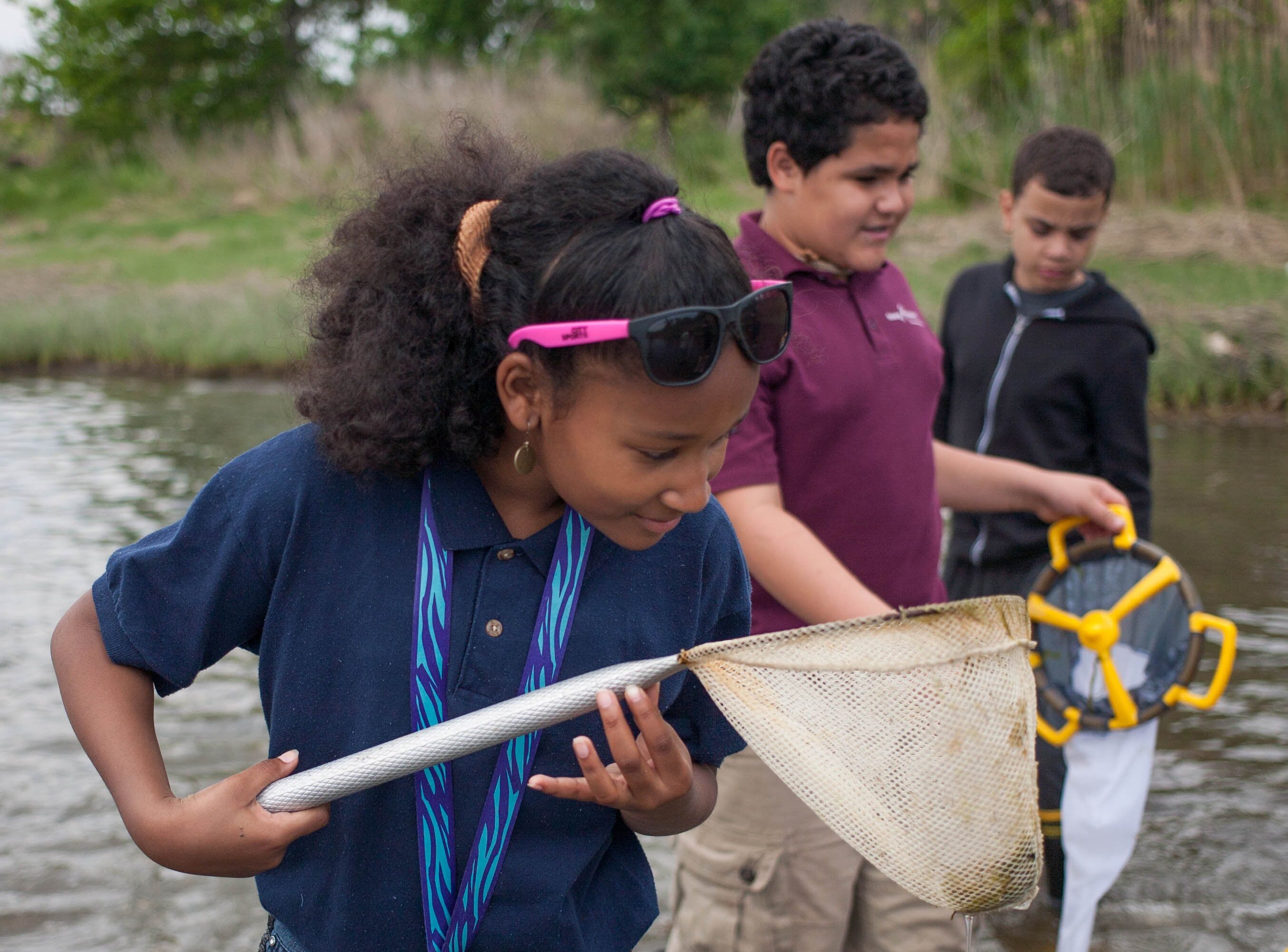 In the image, three children are in a body of water. The girl in the foreground is holding a net, and the boy behind her is looking at something. The other boy is holding a yellow and black container. They appear to be on a field trip or doing some kind of science experiment.